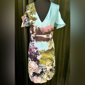 Ted Baker London Cold Shoulder Pond Scene Dress, Size 2